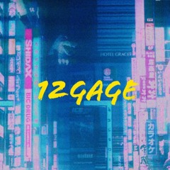 12GAGE