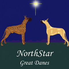 NorthStar Great Danes