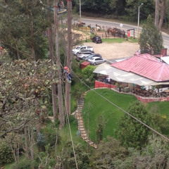 Luzdary cortes bernal