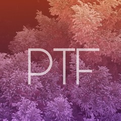 Prisoner The-First