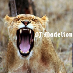 DJ Madelion