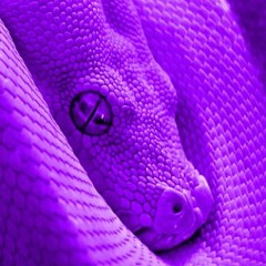 Boa