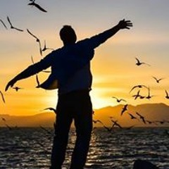 Nouveautés : Ambient