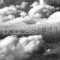 Soniferous Podcast