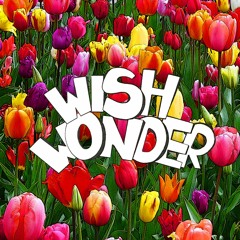 Wishwonder