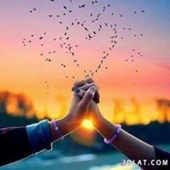 العالمي