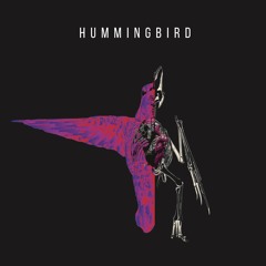 HUMMINGBIRD