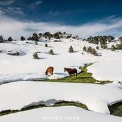 Zakaria Zakaria Ahmad