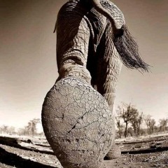 Chathuranga Handunge