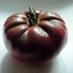 Tomate noire de crimée
