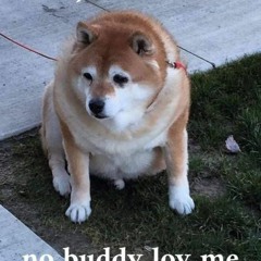 fidoguido