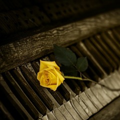 The Duke~Josh Peterson