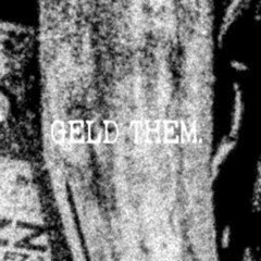 GELD THEM.