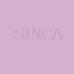 sinca_next_editer