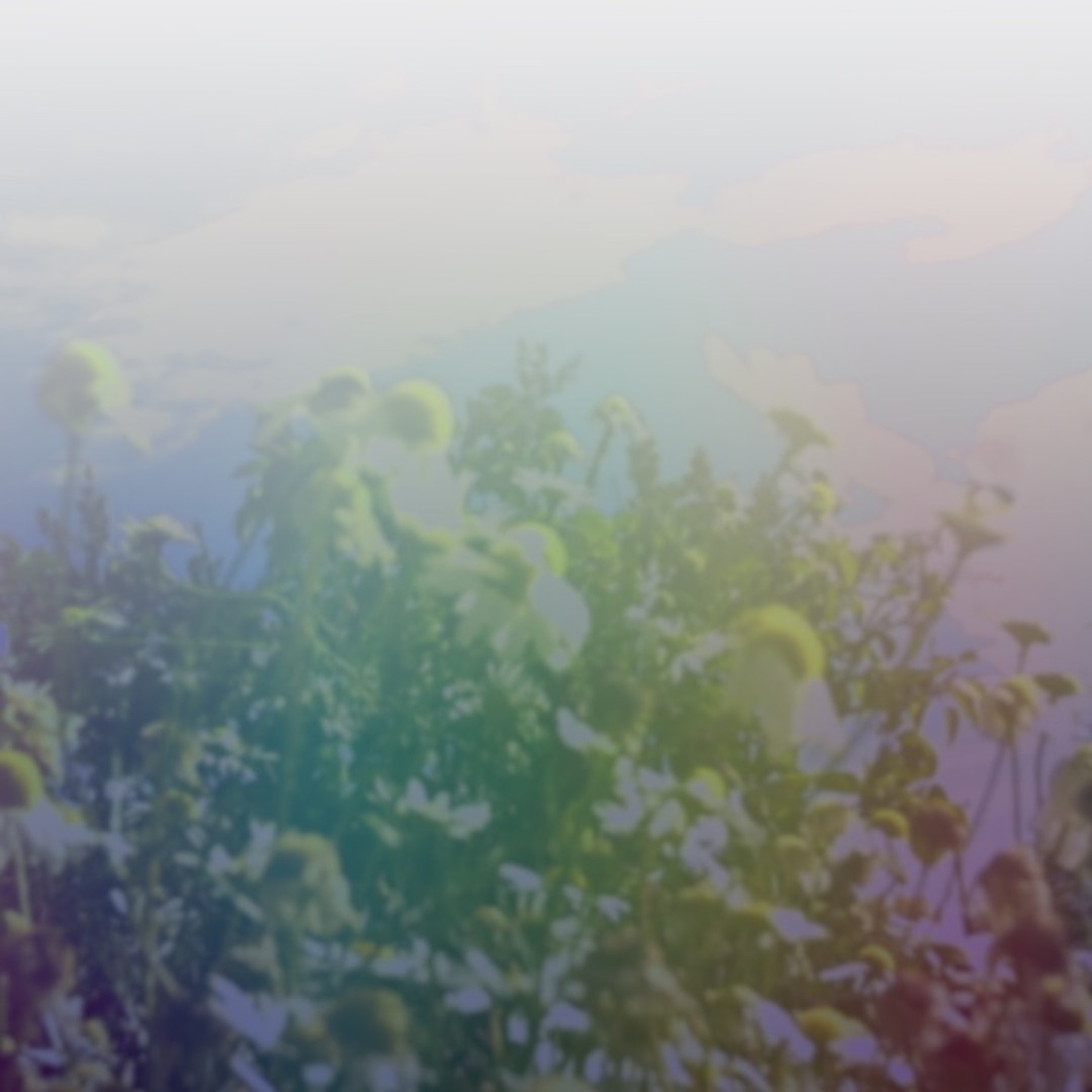 Stream Radiant Abyss music | Listen to songs, albums, playlists