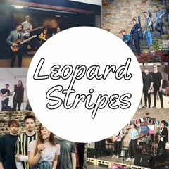 Leopard Stripes