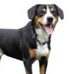 JACOB KOGER - STUDENT