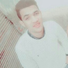 abdulsamad elsayed
