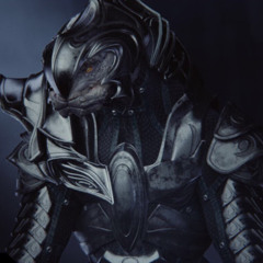 Thel’Vadamee The Arbiter