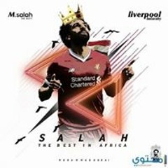 yousf elzohiry