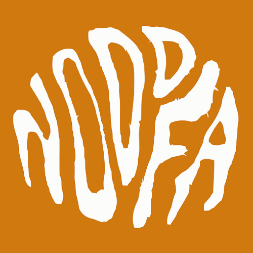 Noddfa Records’s avatar