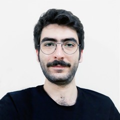 Mehdi Mate