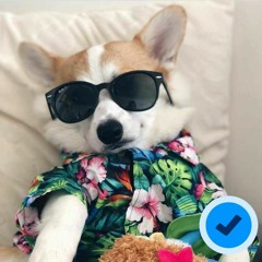 CorGi'Musiz