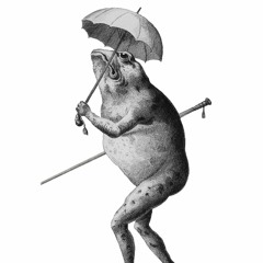 Xander 'El Sapo' Damiani