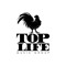 TopLife_Noe