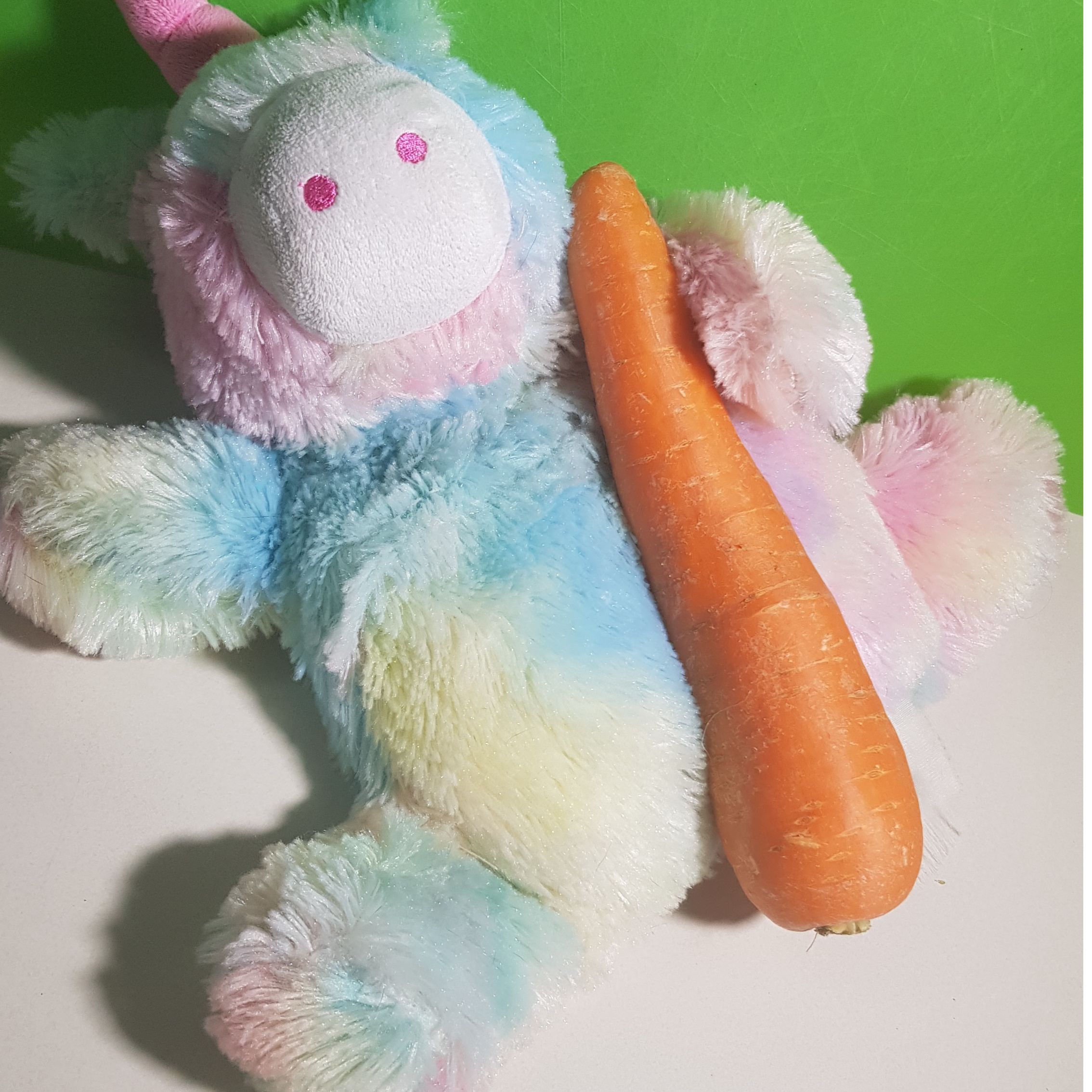 Therespectfulunicornandabadvegan