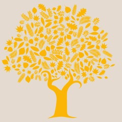 SOAS Humanitarian Hub Podcast