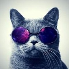 Oguzhan Oyun Cu Colak