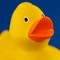 User 150412418