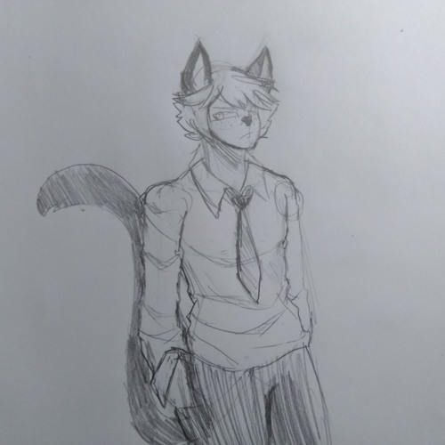 Callum The Cat’s avatar