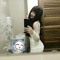 Na Phương