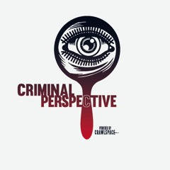 Criminal Perspective