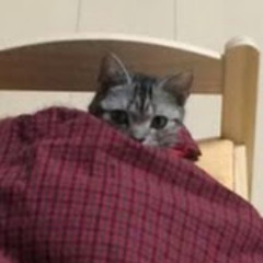 Виктор Вишняков