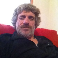 Tamir. עץ תמיר גיזום עצים