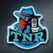 TNR (TeamNoReal)
