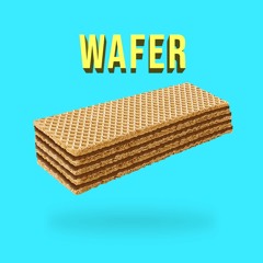 Wafer