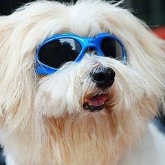 Hey guys, it's Nicole