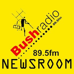 Bush Radio News