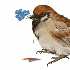 Sparrow