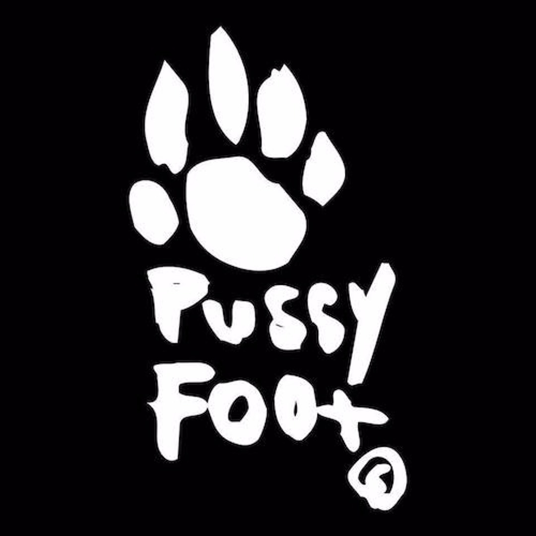 Stream Pussyfoot Records music | Listen to songs, albums