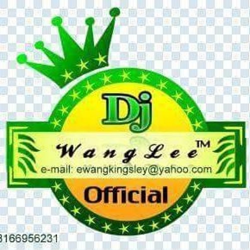 Wang Lee’s avatar