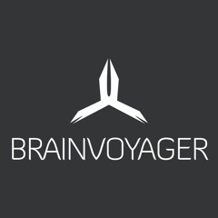 Brainvoyager