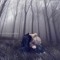 Noor anwar