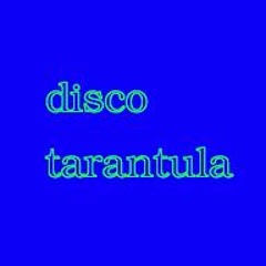 disco tarantula