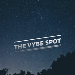 The Vybe Spot