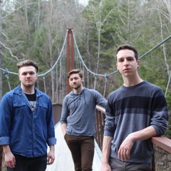 Searching for Sasquatch